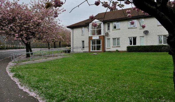A path leading to the entrance of the house with a blossom tree in the garden
