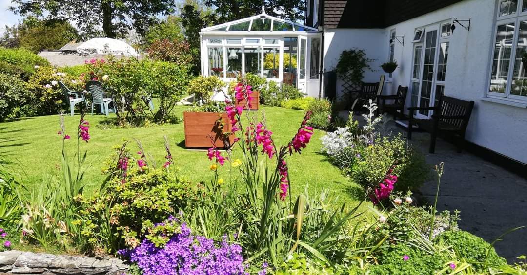 Flowers in the garden at Abbeyfield Scott House, Mawnan Smith TR11 5ER