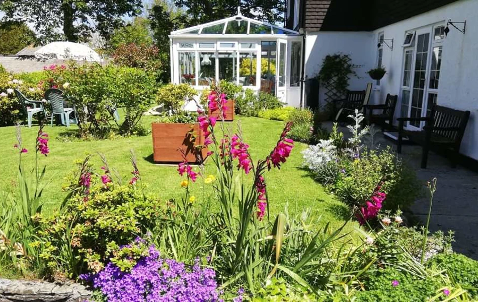 Flowers in the garden at Abbeyfield Scott House, Mawnan Smith TR11 5ER