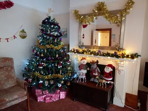 Christmas tree decorated next to a decorated fireplace