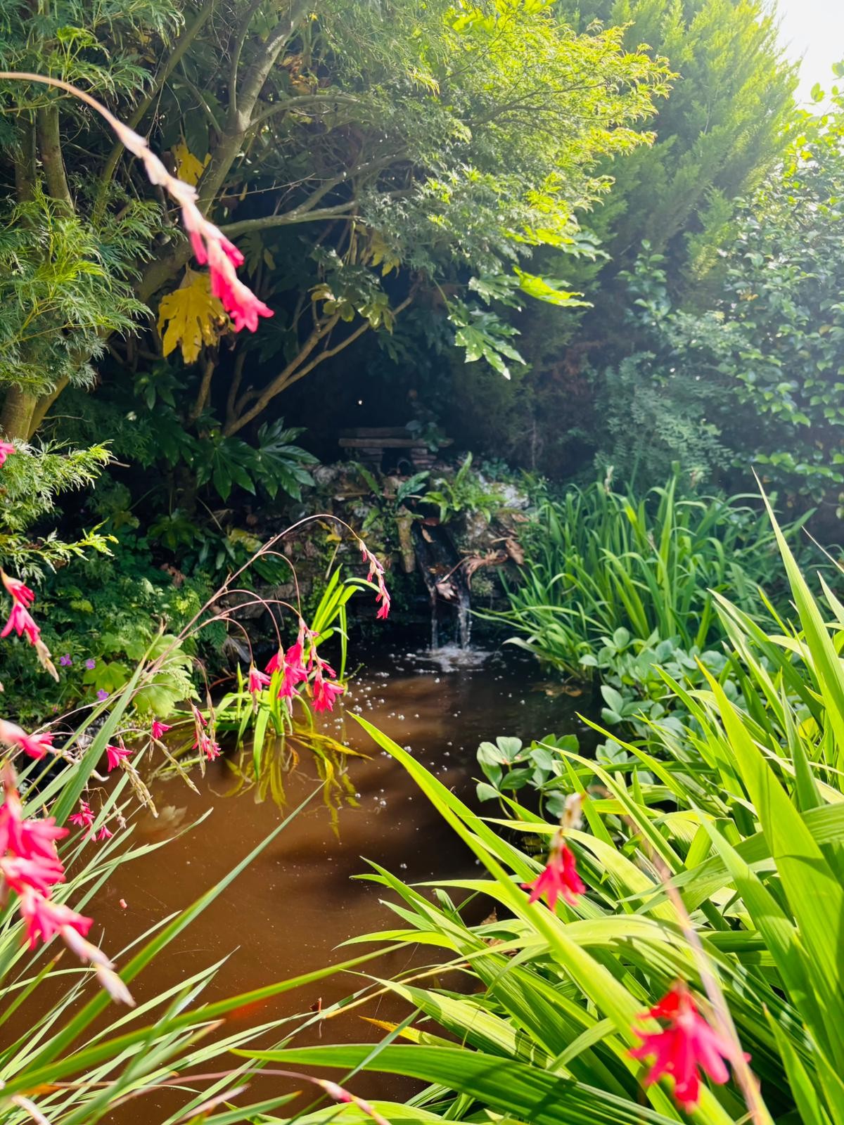 Abbeyfield House Dulverton Flowers