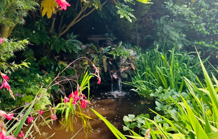 Abbeyfield House Dulverton Flowers