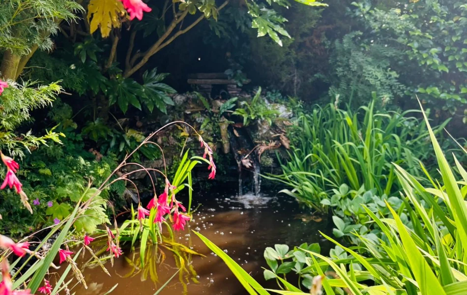 Abbeyfield House Dulverton Flowers