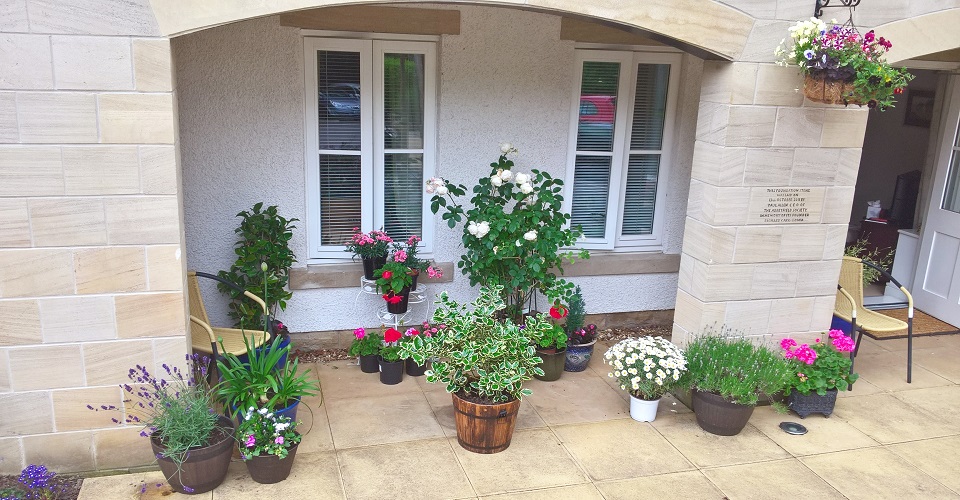 Plant Pots At Abbeyfield Woodlands Skipton Doorstep Challenge