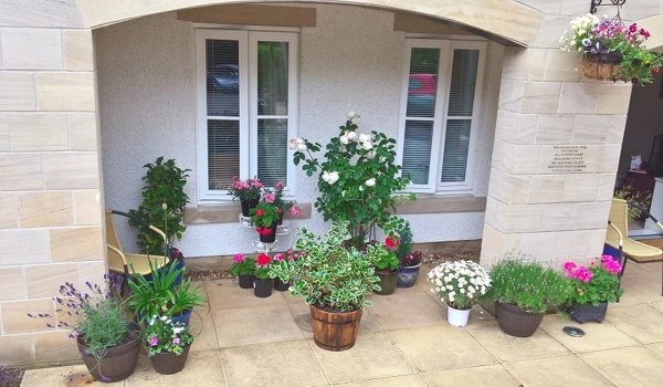 Plant Pots At Abbeyfield Woodlands Skipton Doorstep Challenge