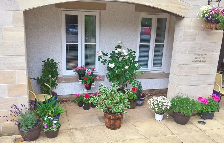 Plant Pots At Abbeyfield Woodlands Skipton Doorstep Challenge