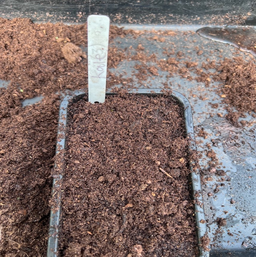 Labelling What You Have Planted