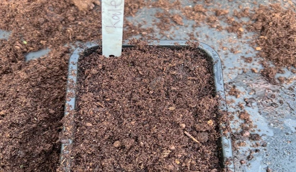 Labelling What You Have Planted