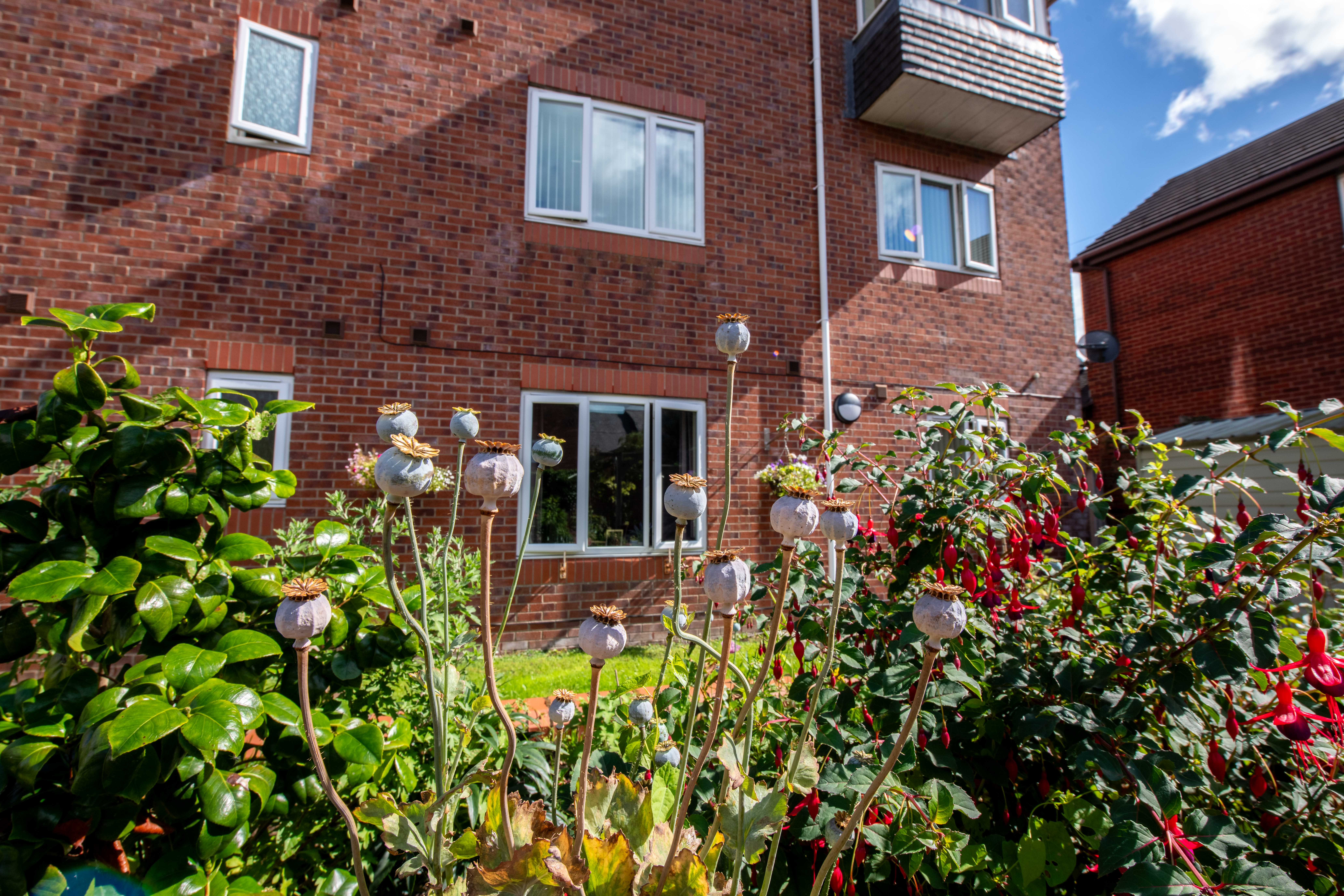 External of Abbeyfield House, Flint CH6 5AS