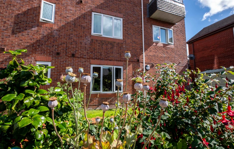 External of Abbeyfield House, Flint CH6 5AS