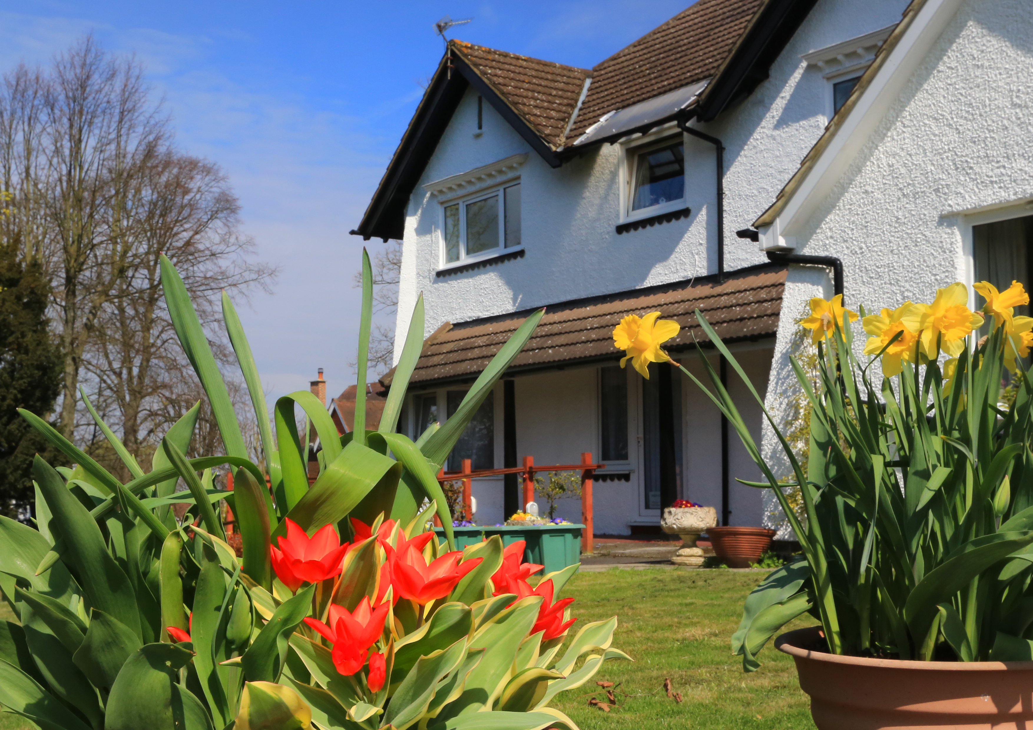 Front garden at Abbeyfield House, Sanderstead CR2 0AA