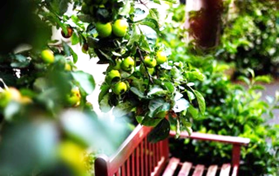 A garden bench with plants and bushes around it