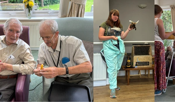 Visit from the hive generates a buzz at Bradbury House