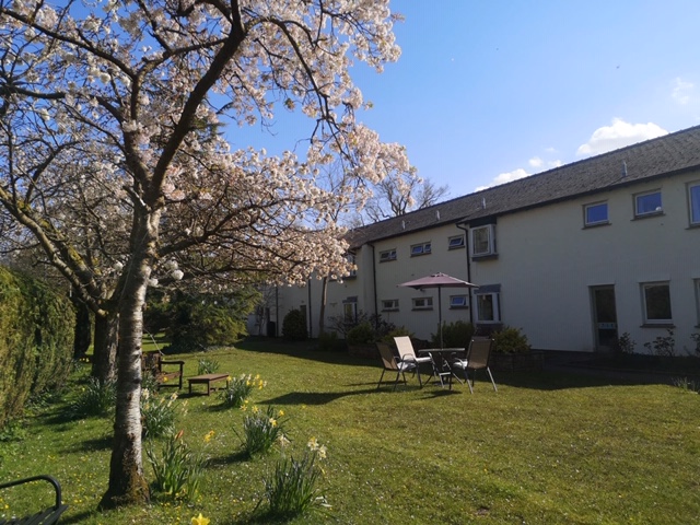 Spring in the garden at Abbeyfield House, Brecon LD3 7RT