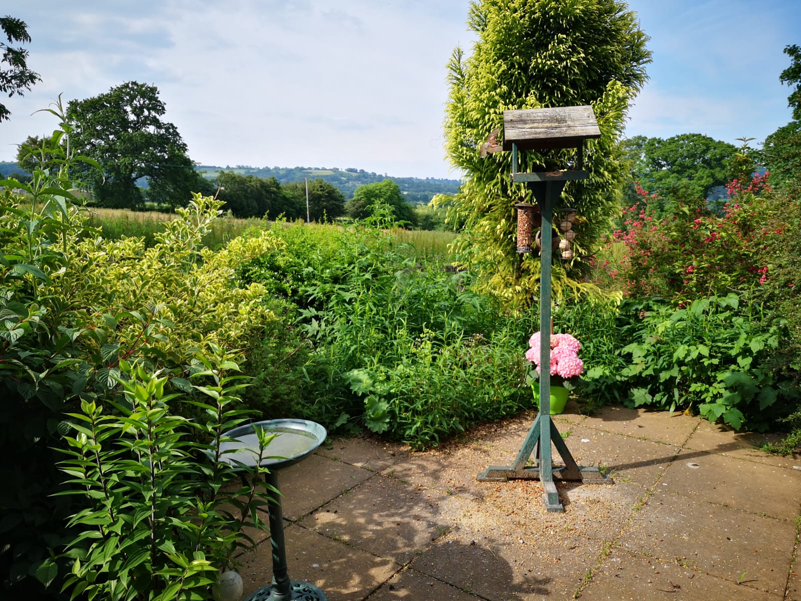 A garden haven for wildlife and birds at Hill House