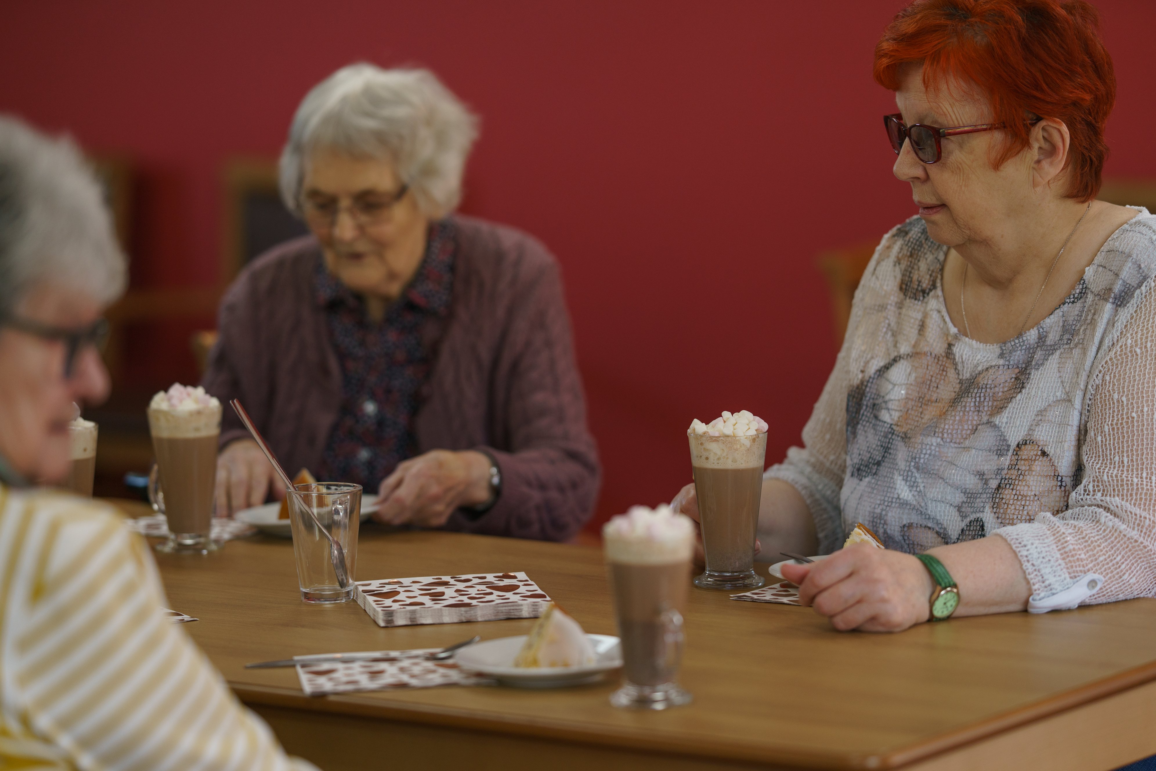 Residents The Old Vicarage, Wellington TA21 8RF