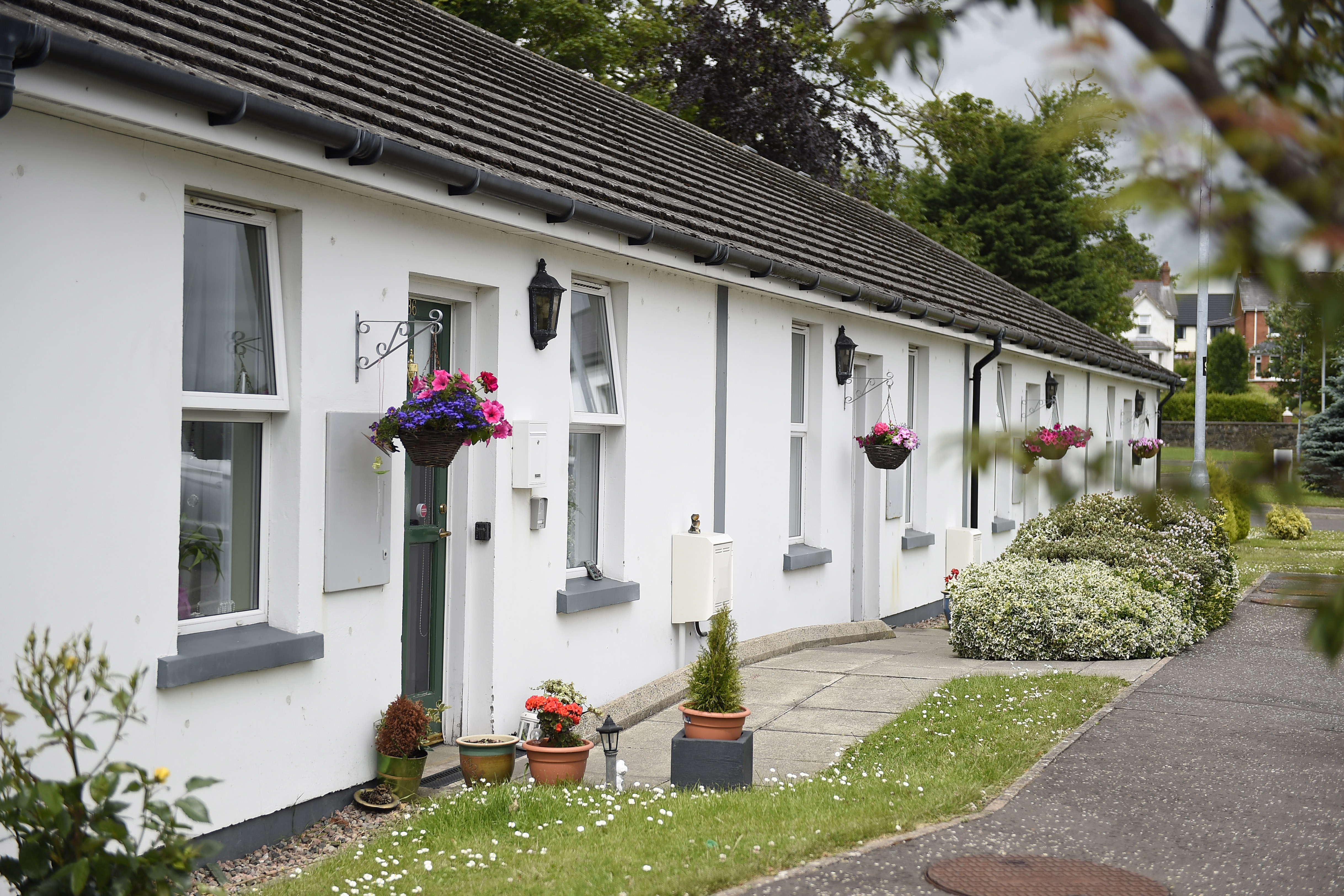 View of a long row of white bungalows at Wesley Court