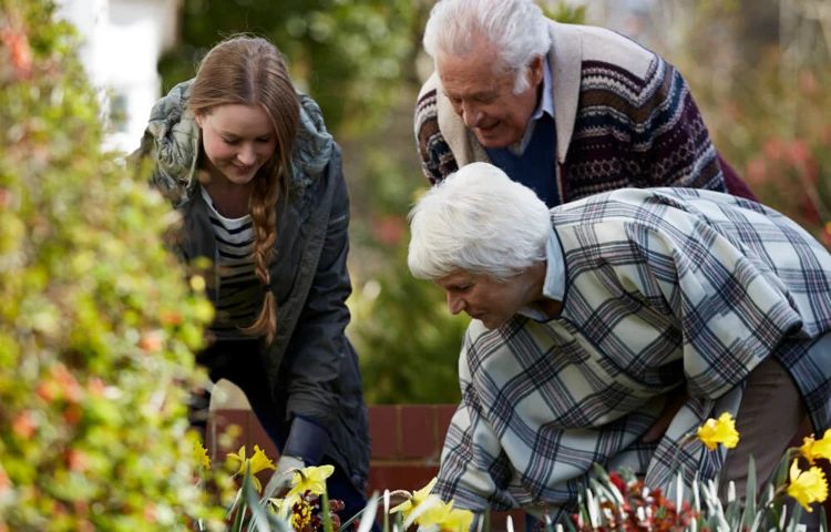 Residents And Staff Doing Gardening Together