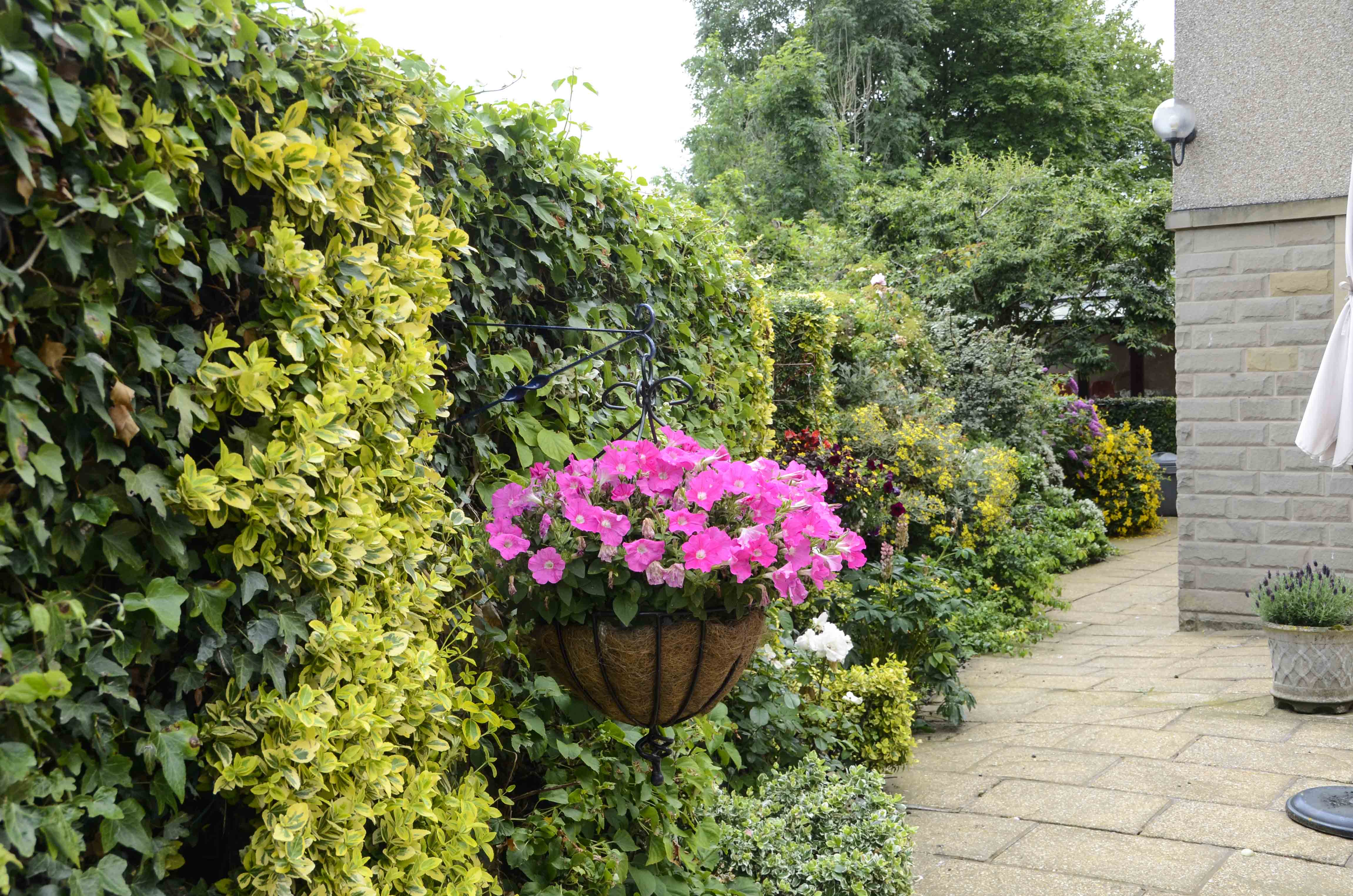 Large hanging basket with pink flowers in the garden at Castle View House, BB7 2DT