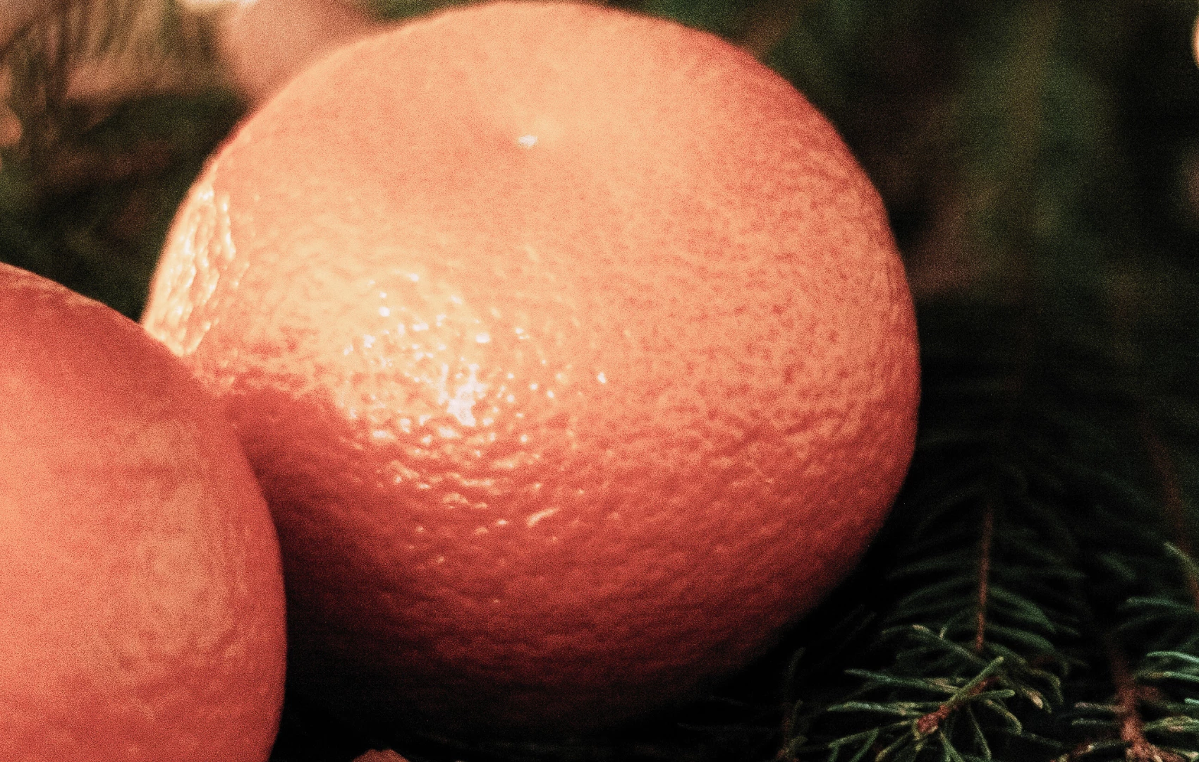 Christmas Tangerine