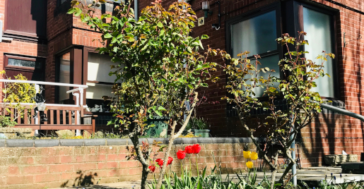 Front garden of Abbeyfield House, Sherborne DT9 4HA (1)