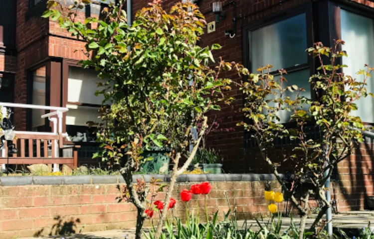 Front garden of Abbeyfield House, Sherborne DT9 4HA (1)