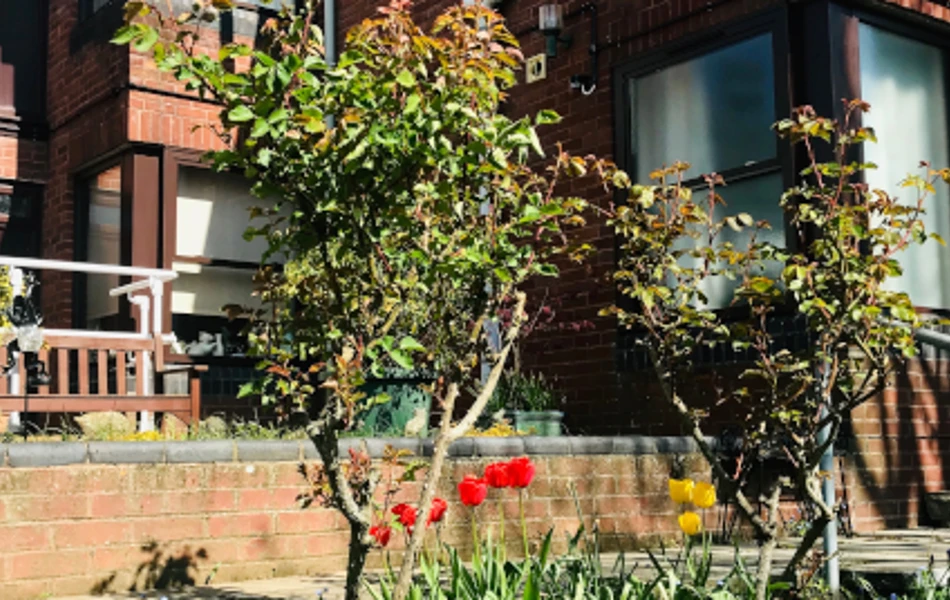 Front garden of Abbeyfield House, Sherborne DT9 4HA (1)