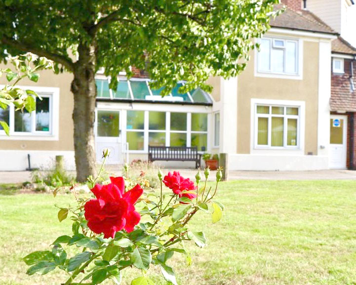 Rose in garden at Abbeyfield House, Brecon LD3 7RT