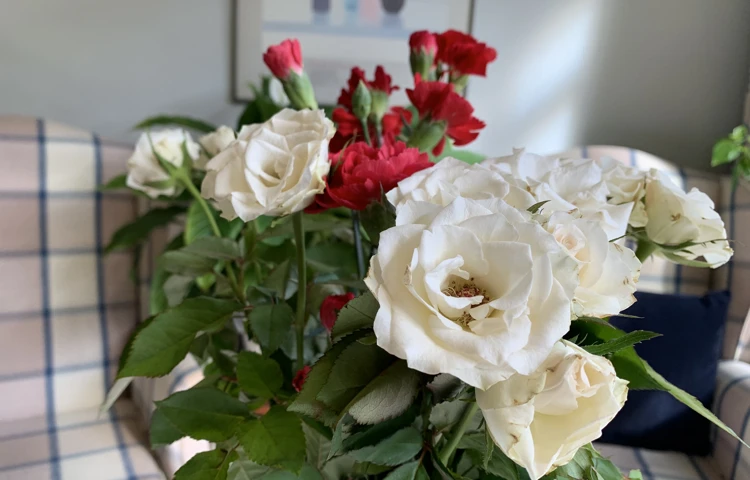 Beautiful roses and carnations in vase at Abbeyfield House, Dulwich