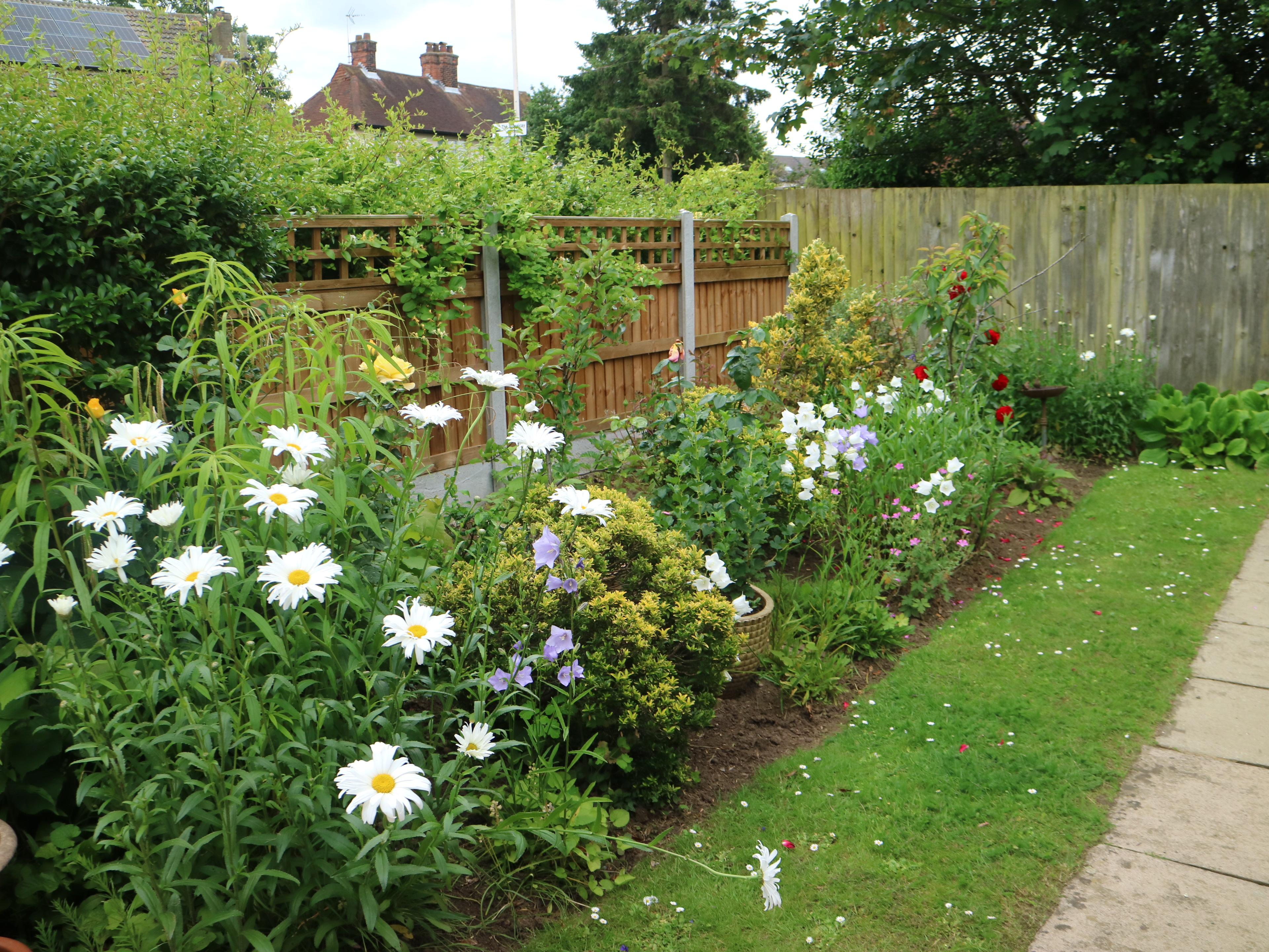 Rear Garden at Archer House, Billericay CM12 9LD