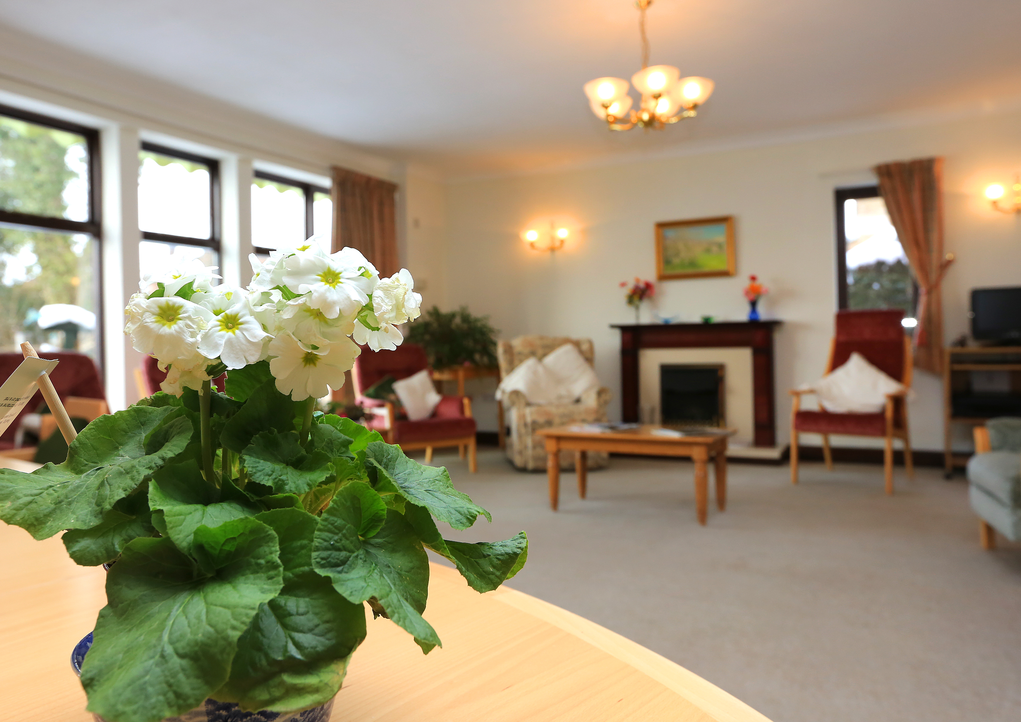 Armchairs in the lounge of Abbeyfield House, Bishops Castle SY9 5PA