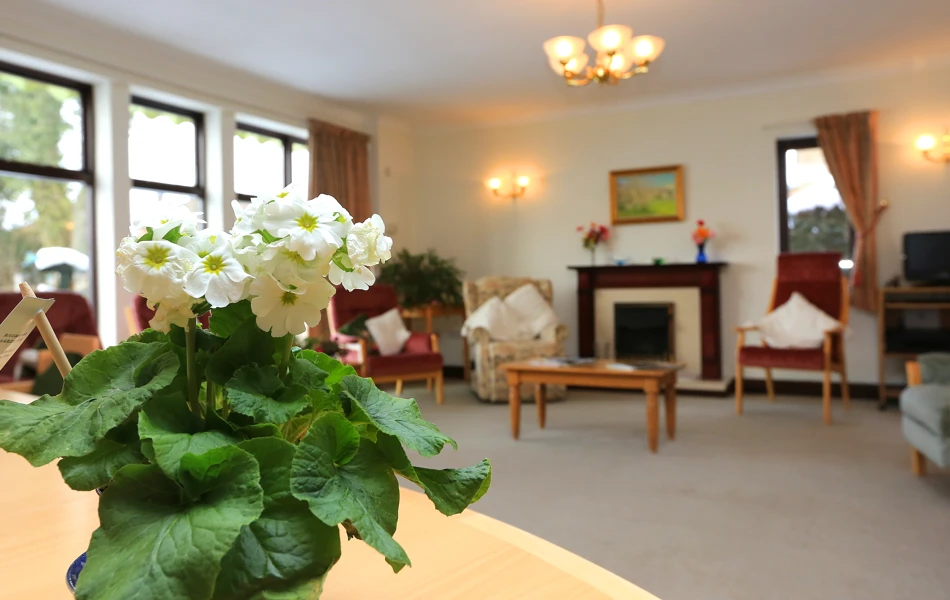 Armchairs in the lounge of Abbeyfield House, Bishops Castle SY9 5PA