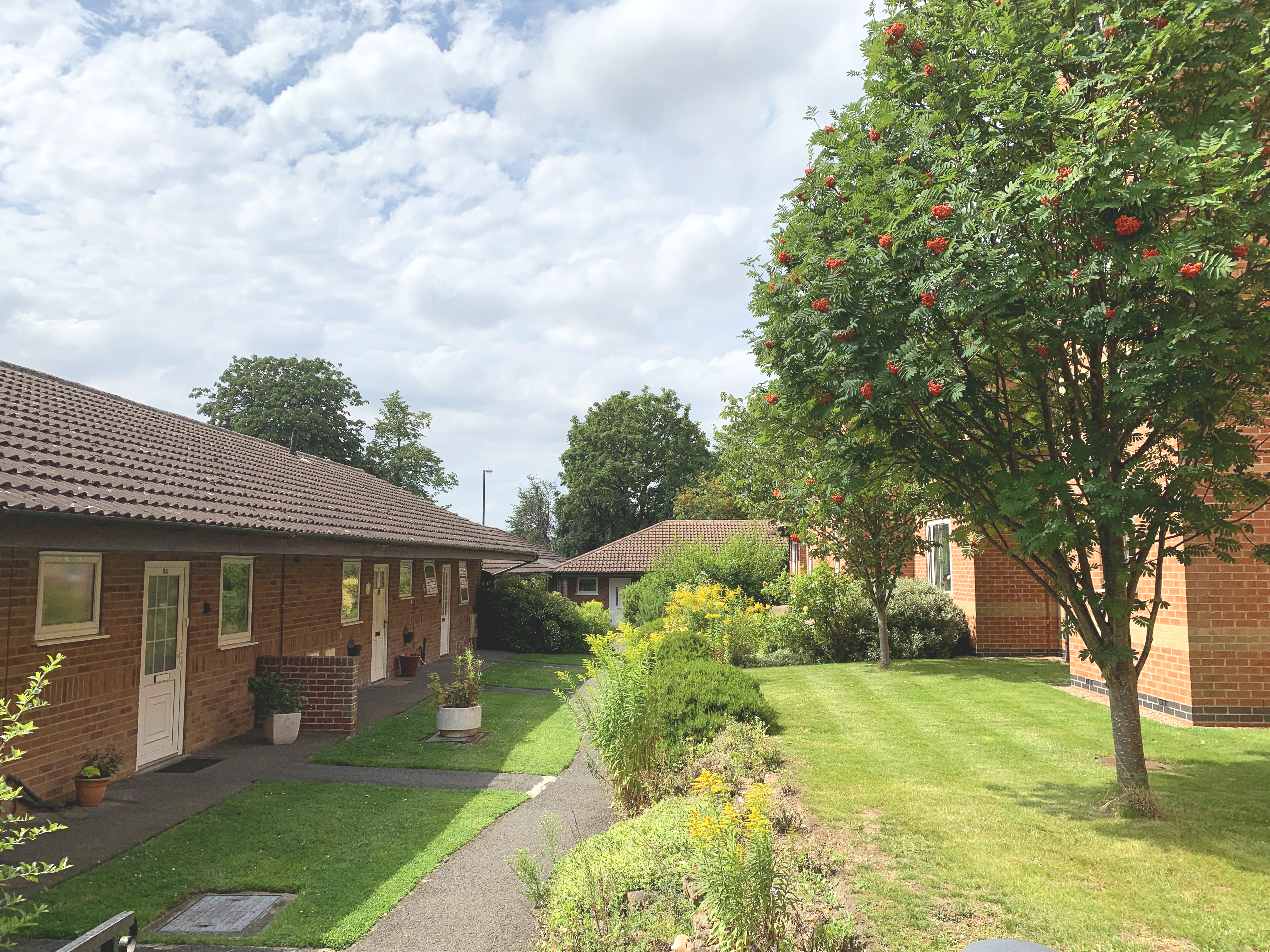 Garden path through sunny gardens at The Firs Complex
