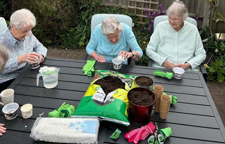 Romsey Seedtotable July26 (9)