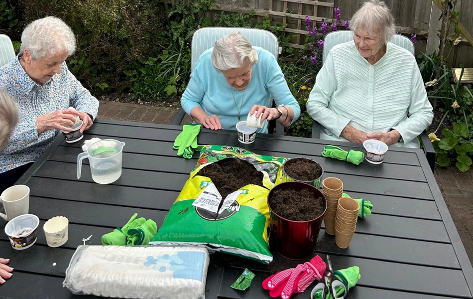 Romsey Seedtotable July26 (9)