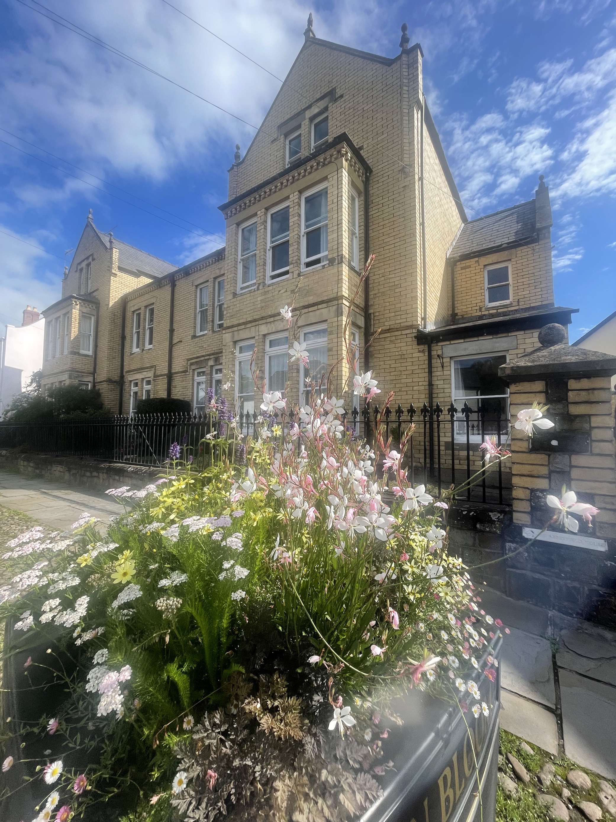 Microsoftteams Image (17)