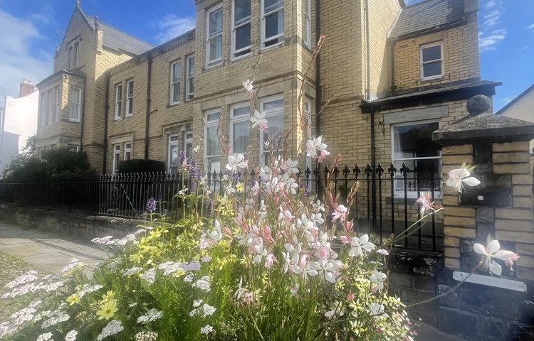 Microsoftteams Image (17)