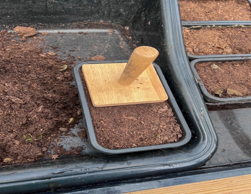 Filling Seed Tray With Compost