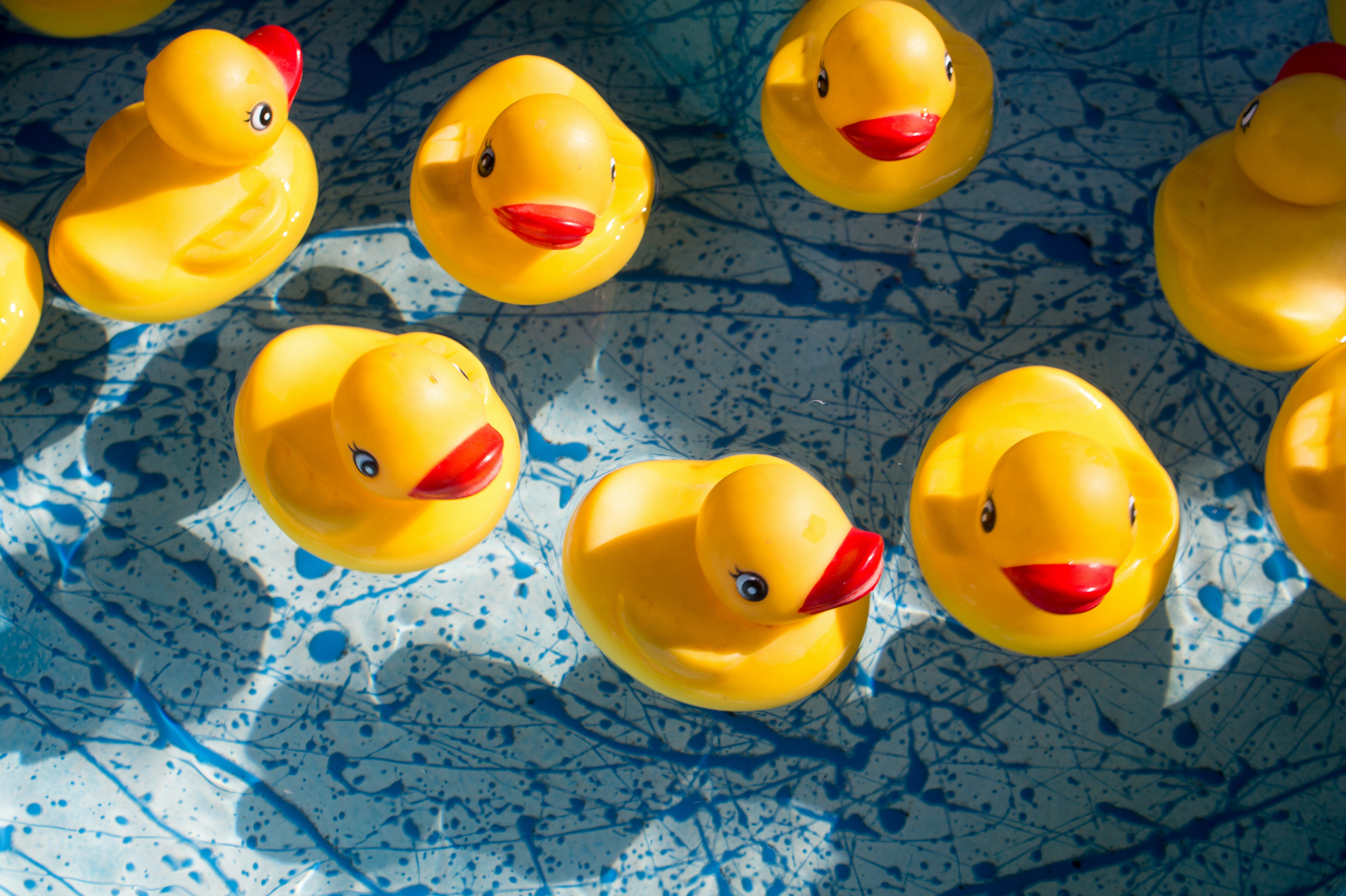 Collection Of Plastic Ducks Floating On Water