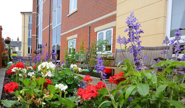 Flower beds at Great Bradfords House, Braintree CM7 9GD