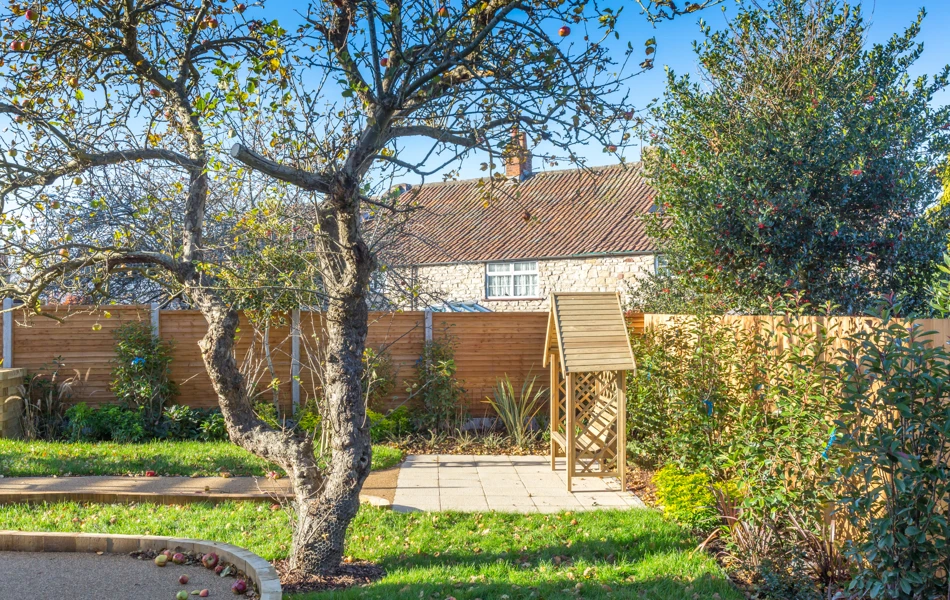 Bright And Sunny Garden At Abbeyfield House, Keynsham
