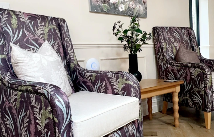 Two armchairs at Clandon House, Dorchester DT1 1PW