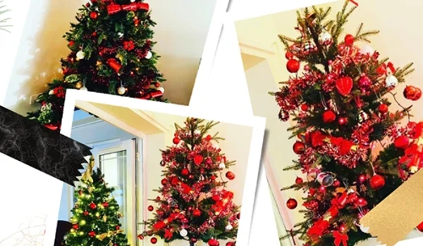 Christmas Trees Abbeyfield 2021