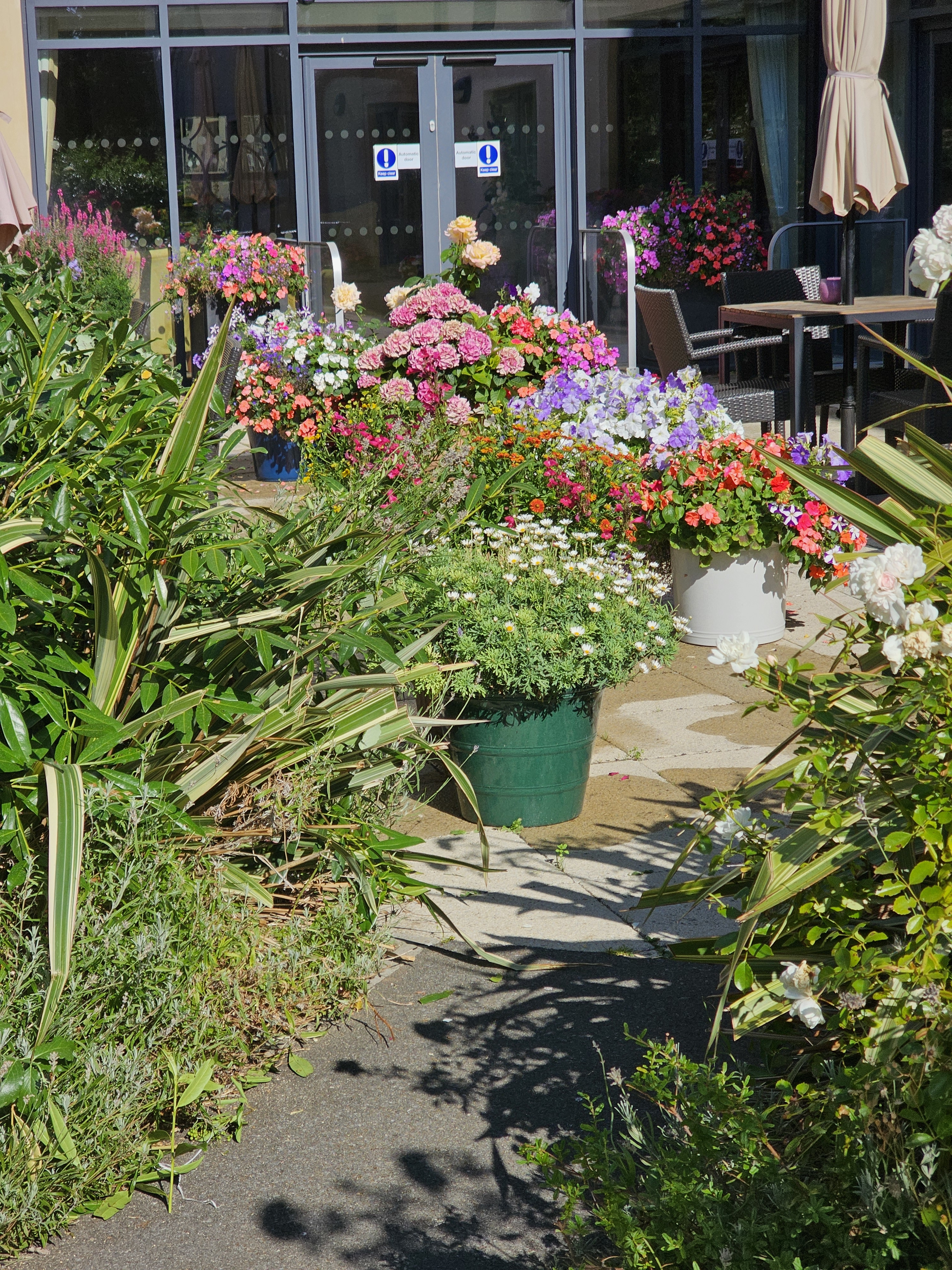 Garden5