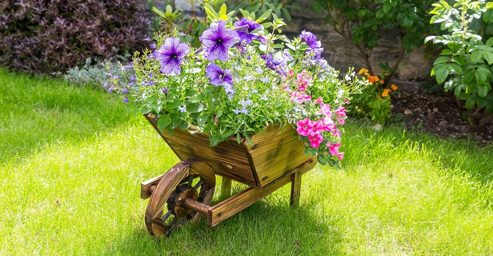 Flowers in a planter at Abbeyfield House, Bristol BS6 6YR