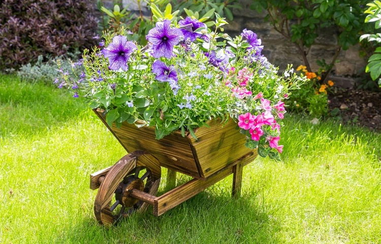 Flowers in a planter at Abbeyfield House, Bristol BS6 6YR