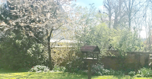 Rear garden of Abbeyfield House, Sherborne DT9 4HA