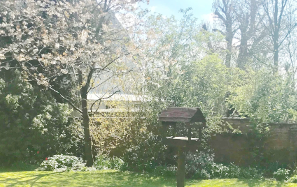 Rear garden of Abbeyfield House, Sherborne DT9 4HA