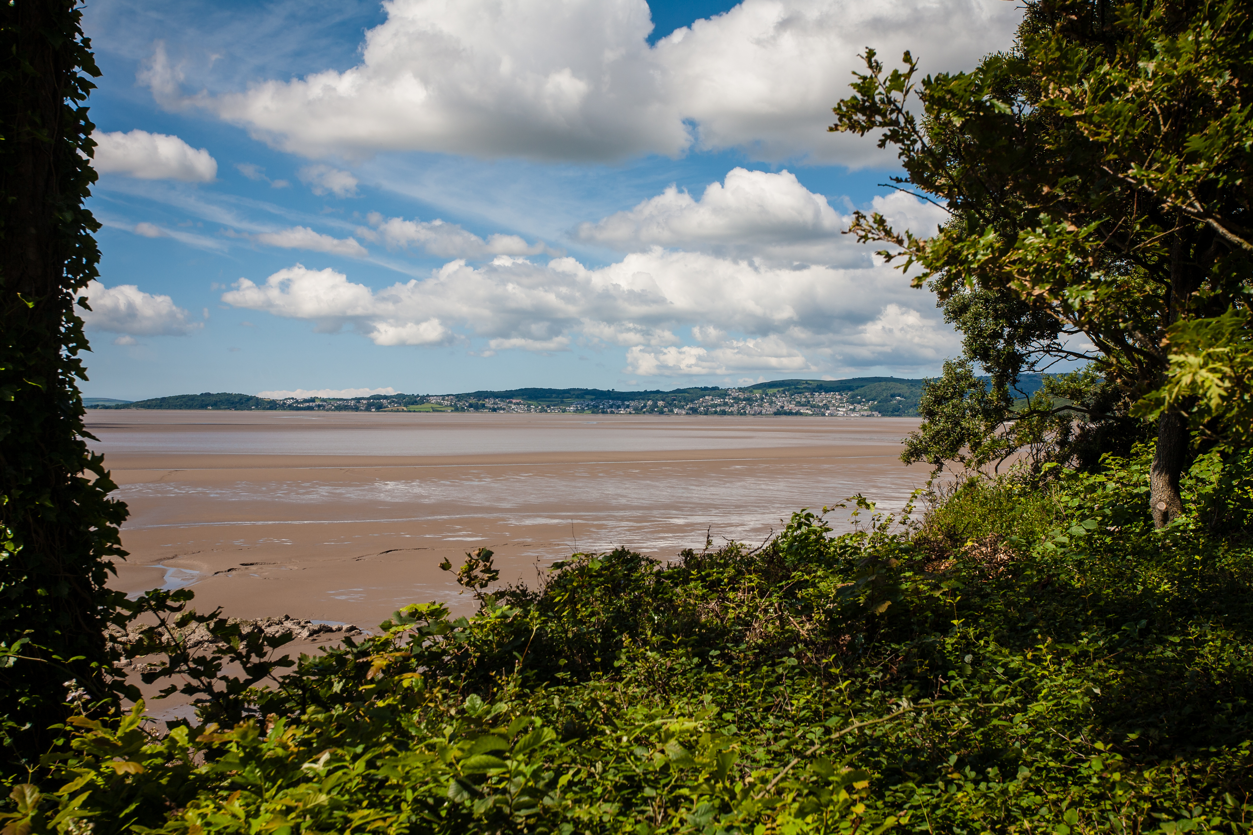 A view of the beach near the house