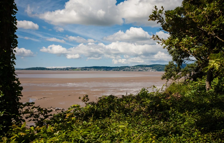 A view of the beach near the house